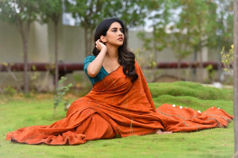 NabhaNatesh stuns in traditional wear.
