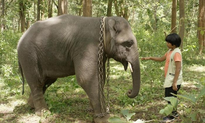 సెన్సార్ కార్యక్రమాల్లో ‘పోయే ఏనుగు పోయే’.. సెప్టెంబర్ 1న ఆడియో రిలీజ్