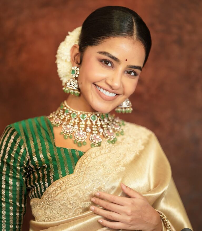 “Sharwa38” లో హీరోయిన్ గా అనుపమ పరమేశ్వరన్