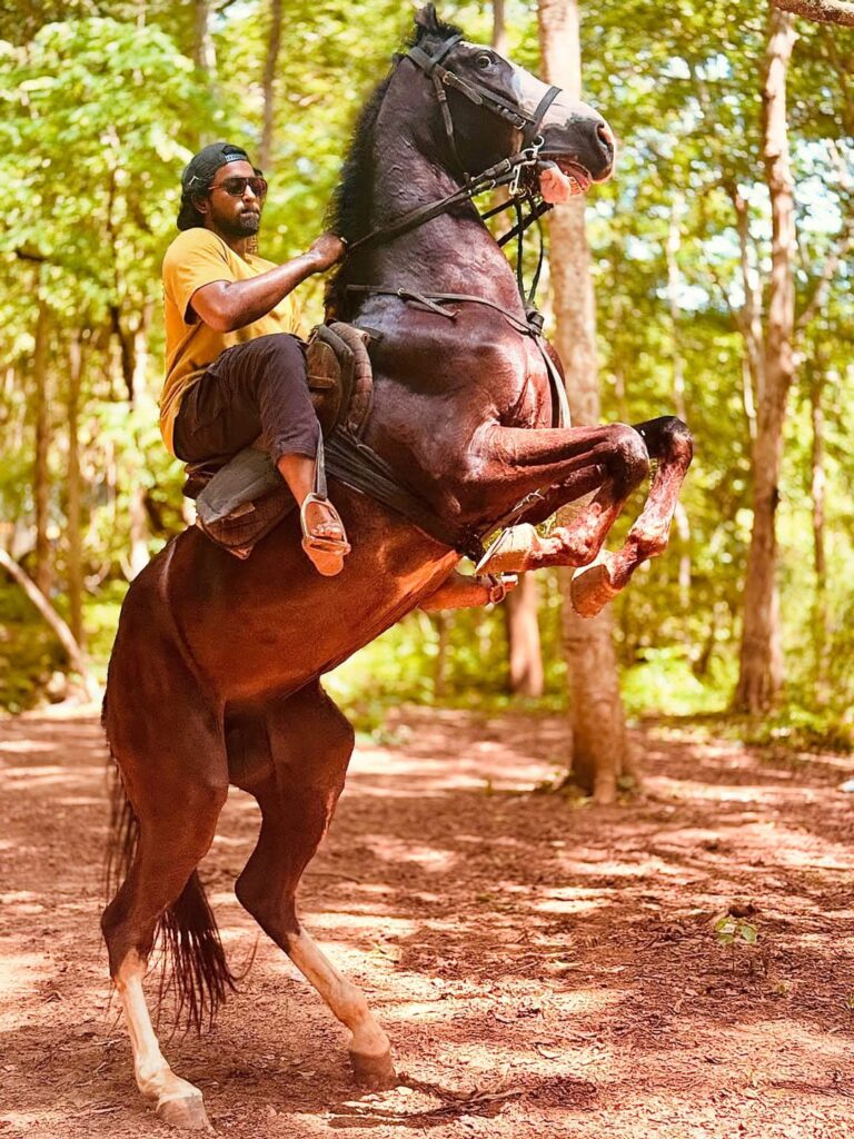 ‘మోగ్లీ 2025’ 15 రోజుల భారీ క్లైమాక్స్ యాక్షన్ షెడ్యూల్‌ పూర్తి